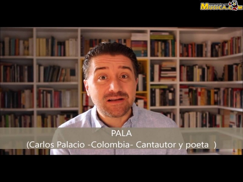 Fondo de pantalla de Carlos Palacio