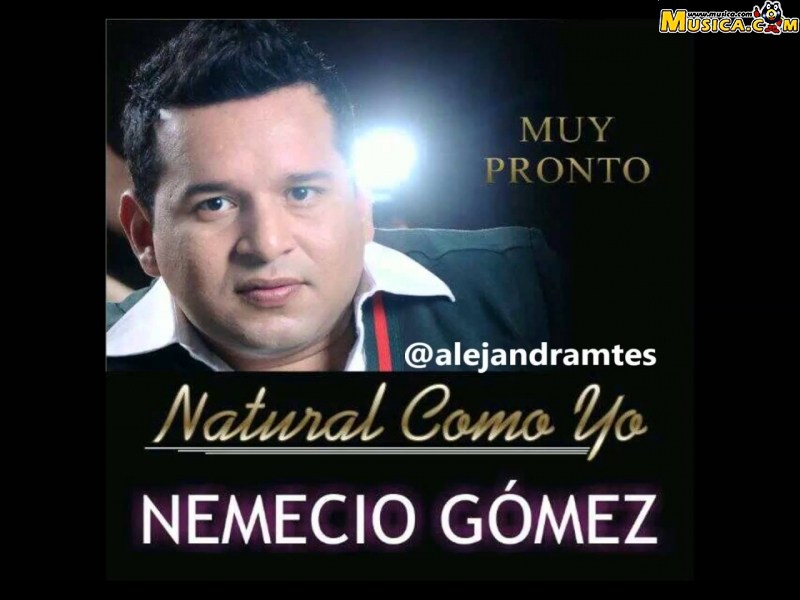 Fondo de pantalla de Nemecio Gomez