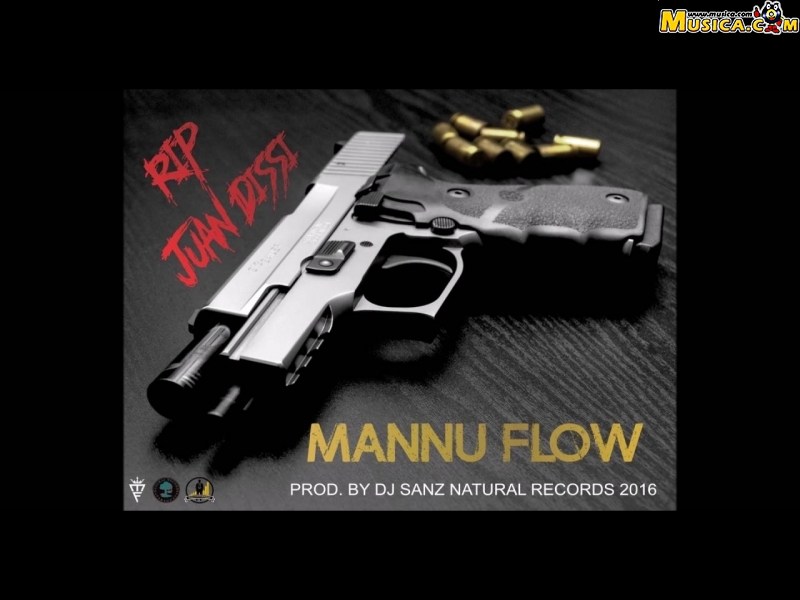 Fondo de pantalla de Mannu Flow