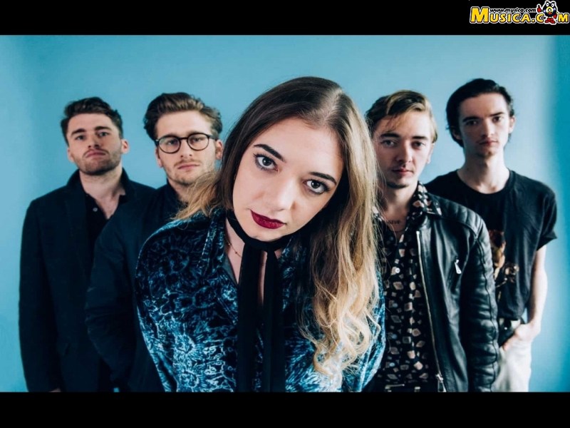 Fondo de pantalla de Marmozets