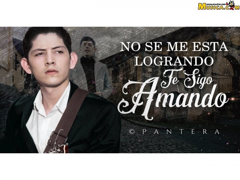 Fondo de pantalla de Pantera De Culiacan Sinaloa