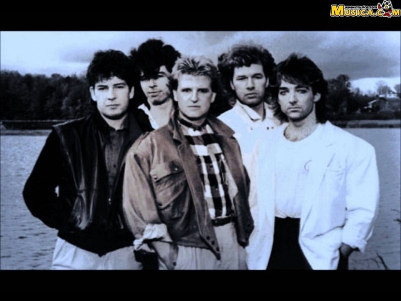 Fondo de pantalla de Glass Tiger