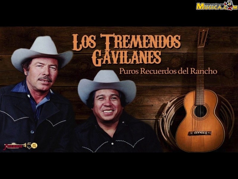 Fondo de pantalla de Los Tremendos Gavilanes