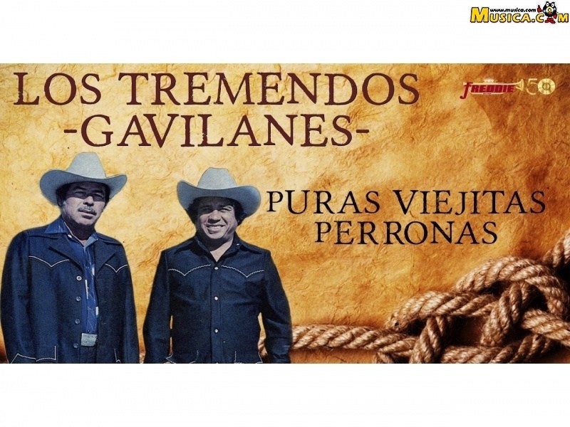 Fondo de pantalla de Los Tremendos Gavilanes
