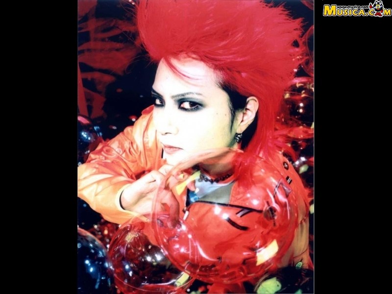 Fondo de pantalla de Hide