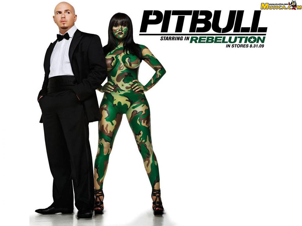 Fondo de pantalla de Pitbull