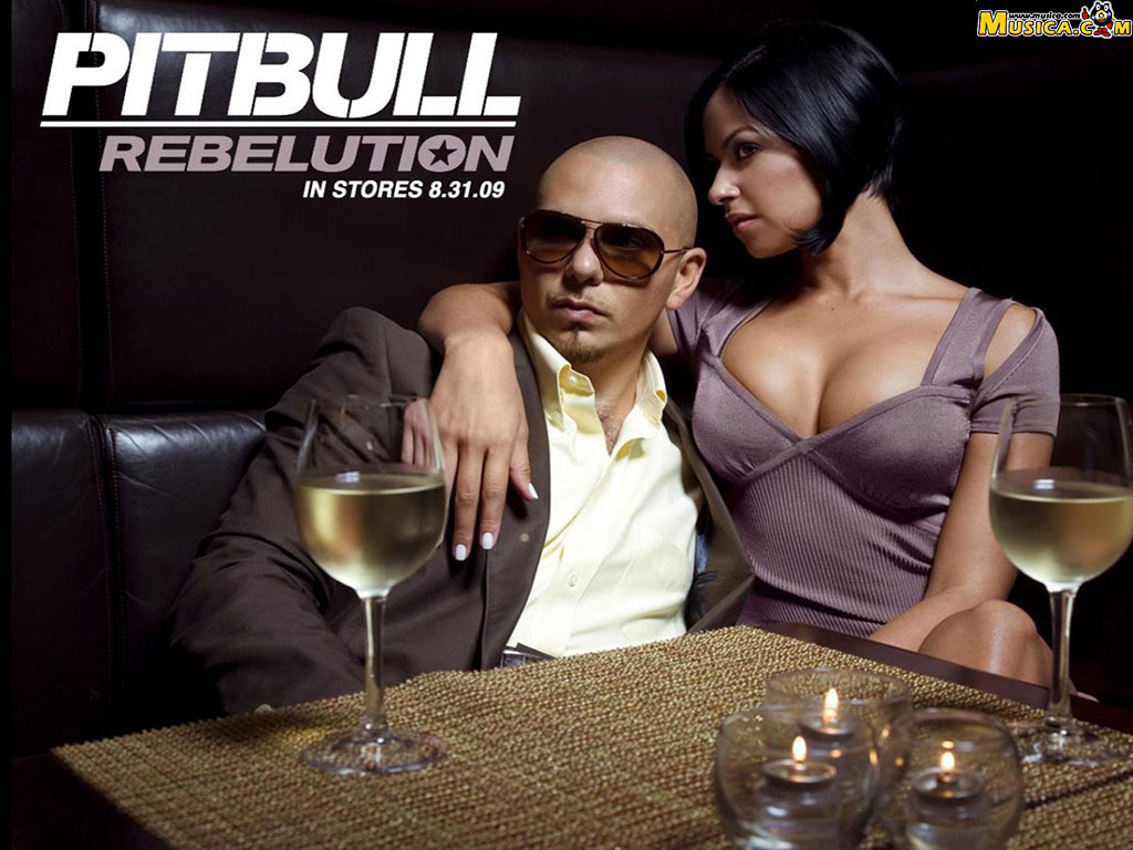 Fondo de pantalla de Pitbull