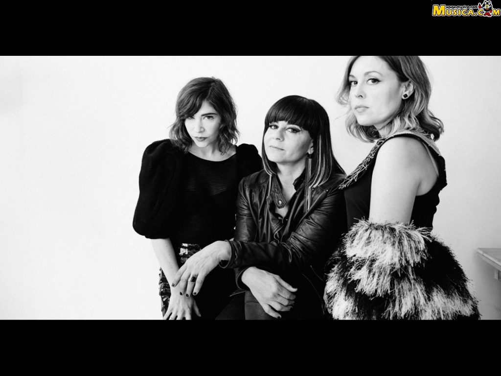 Fondo de pantalla de Sleater Kinney