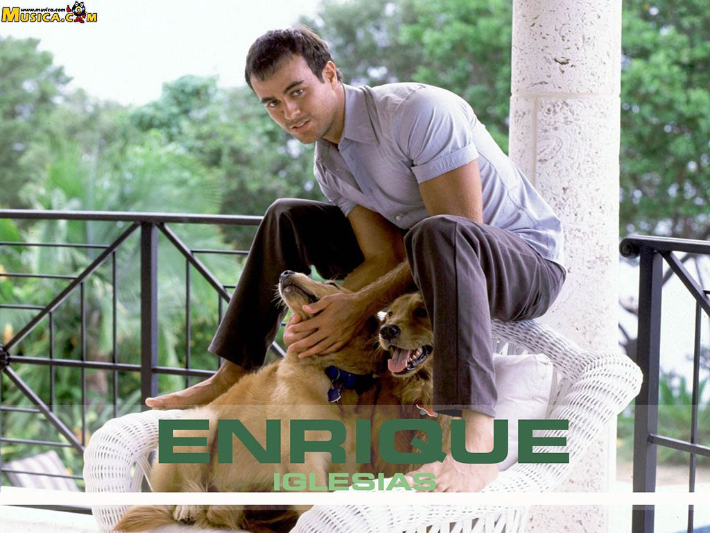 Fondo de pantalla de Enrique Iglesias