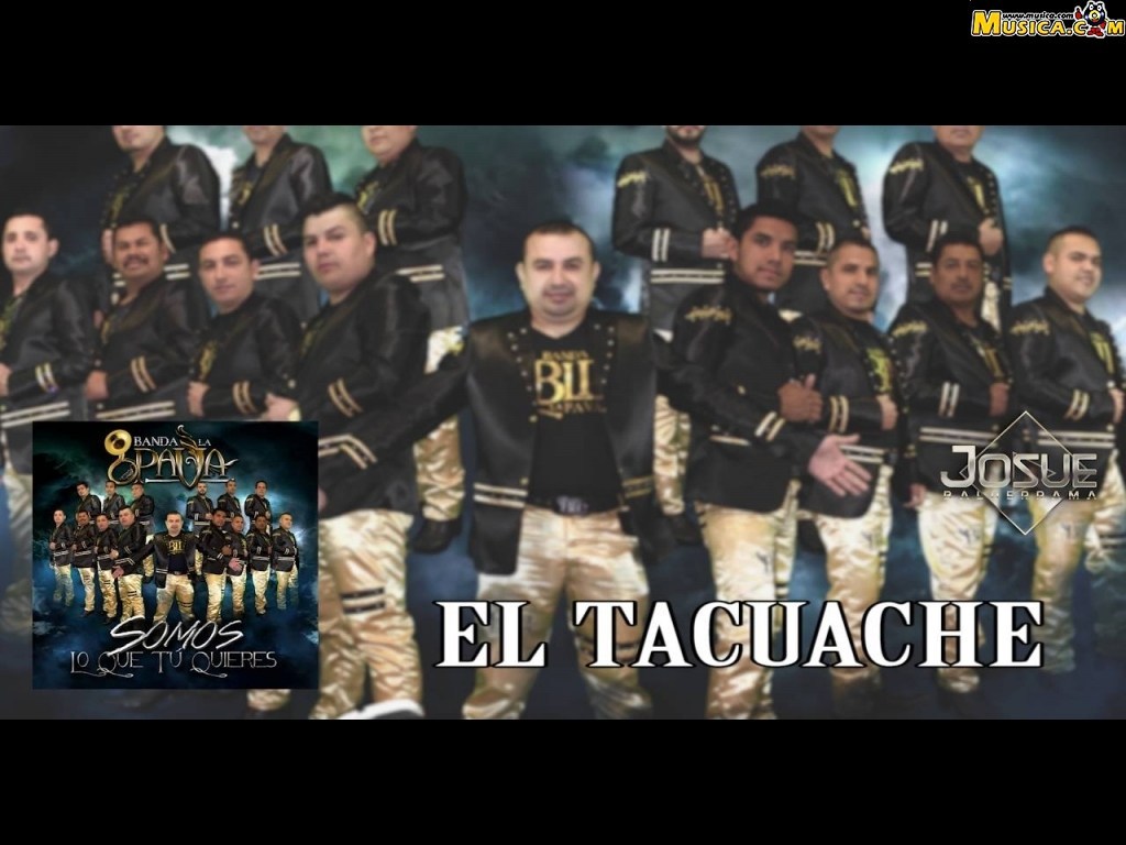 Fondo de pantalla de El Tacuache