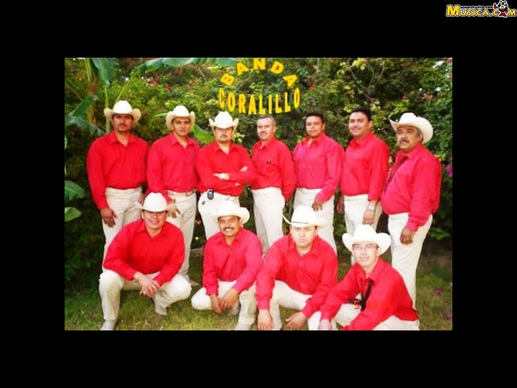 Fondo de pantalla de Banda Coralillo