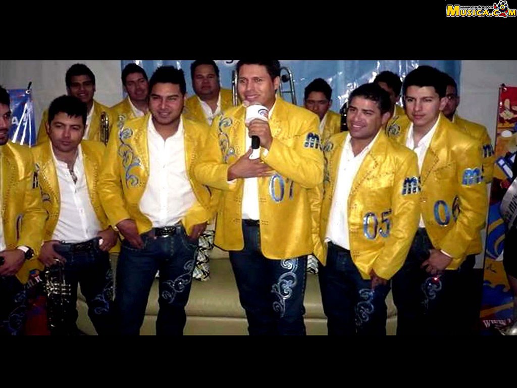 Fondo de pantalla de Banda MS