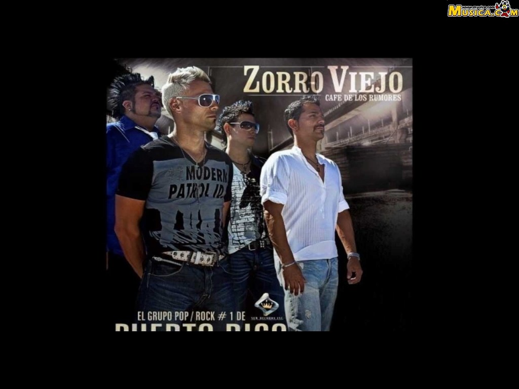 Fondo de pantalla de Zorro Viejo