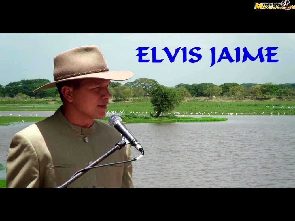 Fondo de pantalla de Elvis Jaime