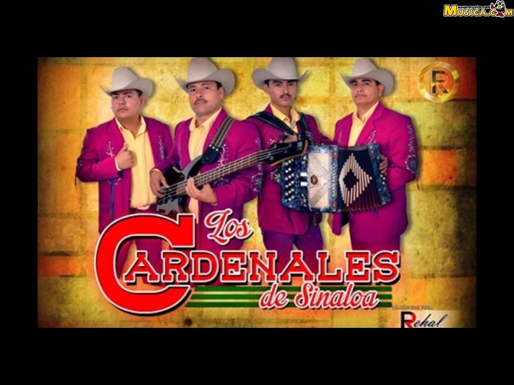 Fondo de pantalla de Cardenales de Sinaloa