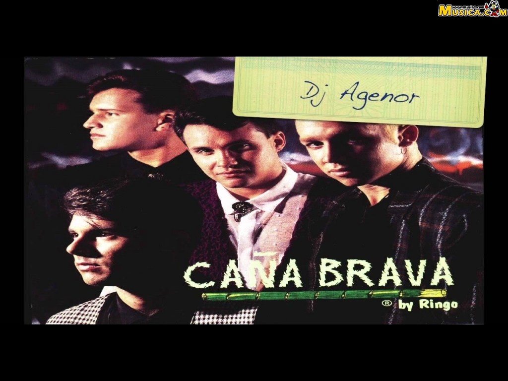 Fondo de pantalla de Caña Brava (Colombia)