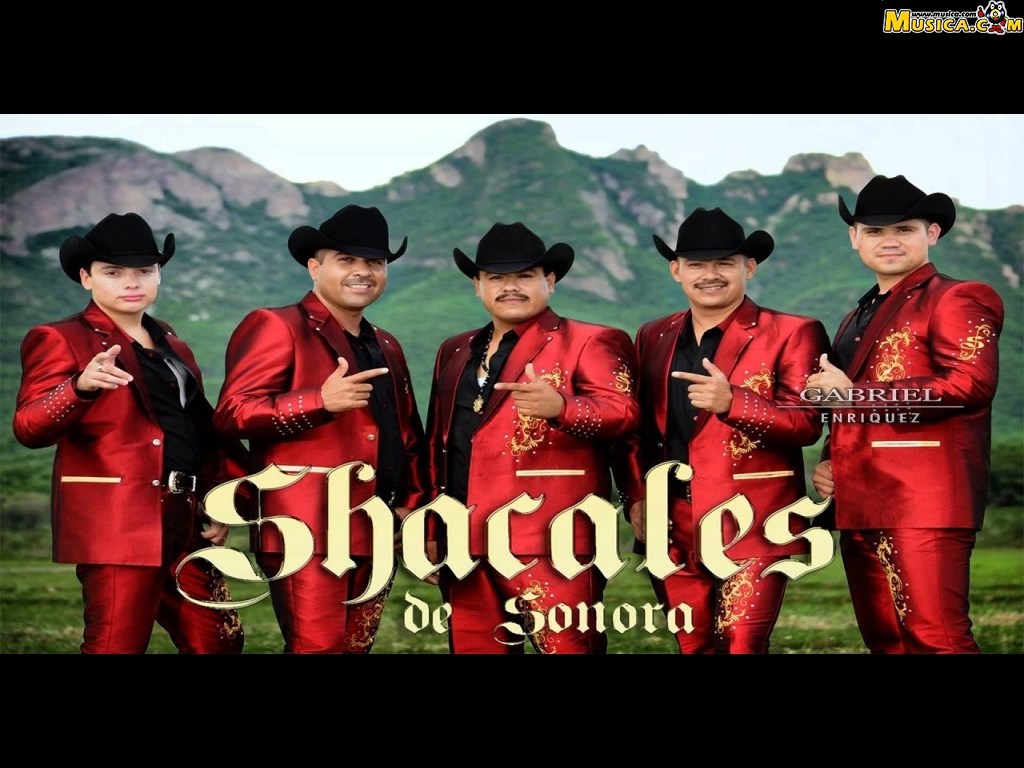 Fondo de pantalla de Shacales De Sonora