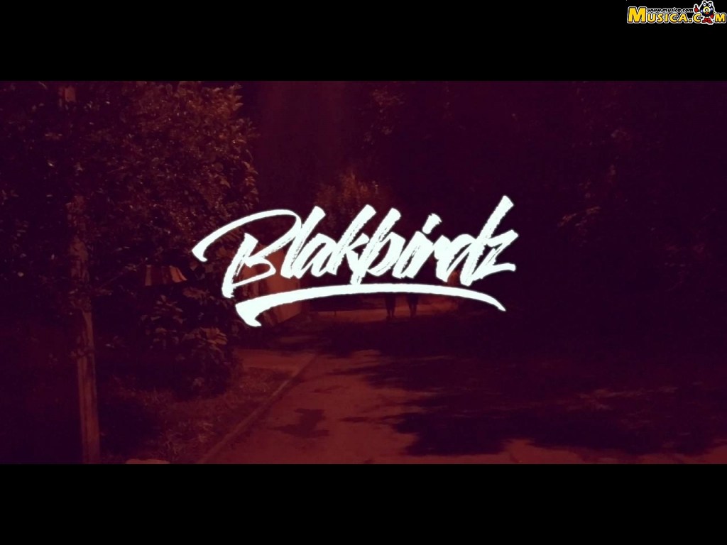 Fondo de pantalla de Blakbirdz