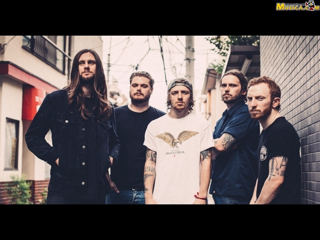 Fondo de pantalla de While She Sleeps