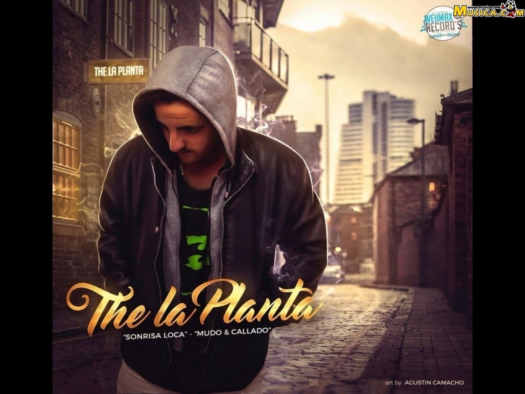 Fondo de pantalla de The La Planta