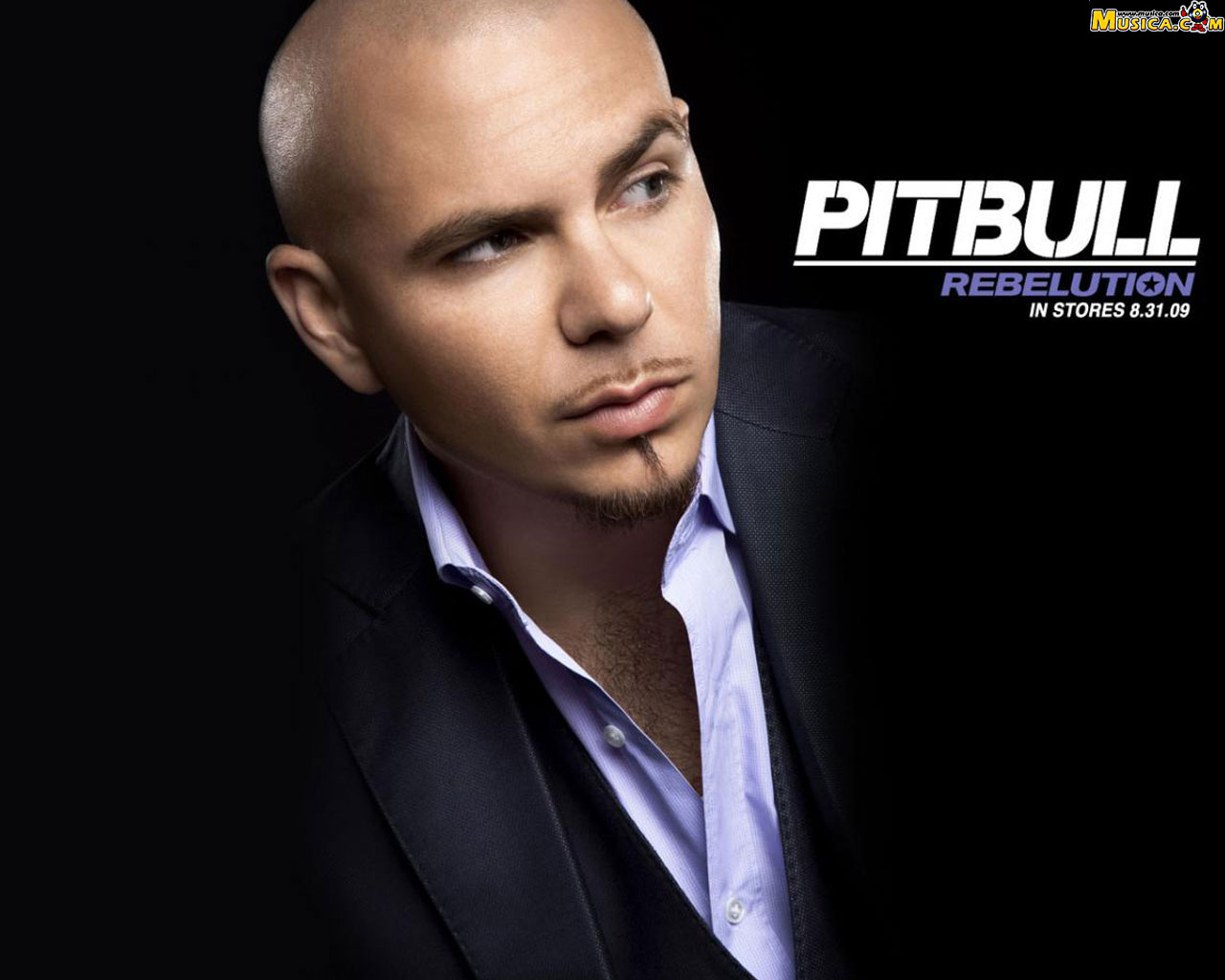 Fondo de pantalla de Pitbull