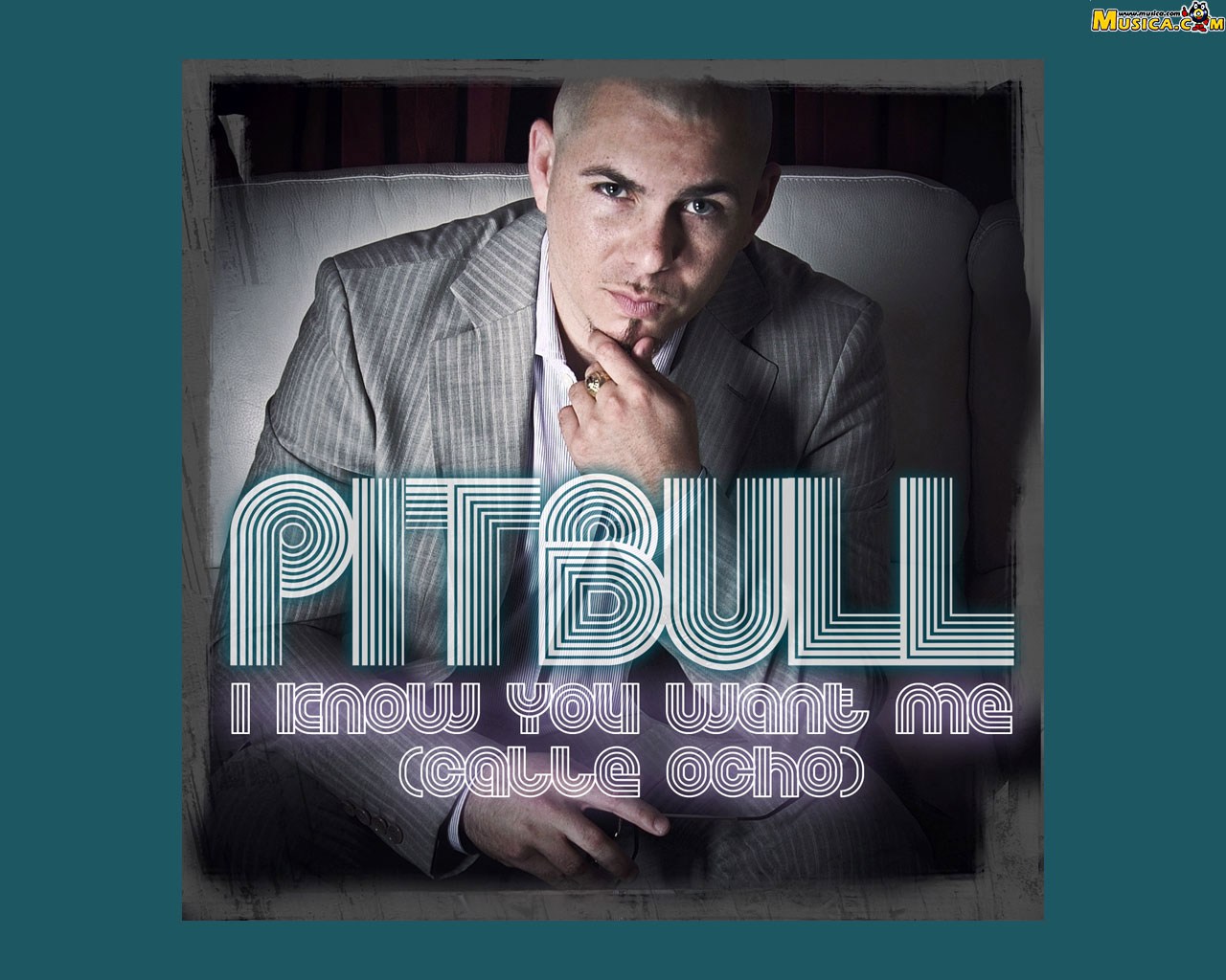 Fondo de pantalla de Pitbull