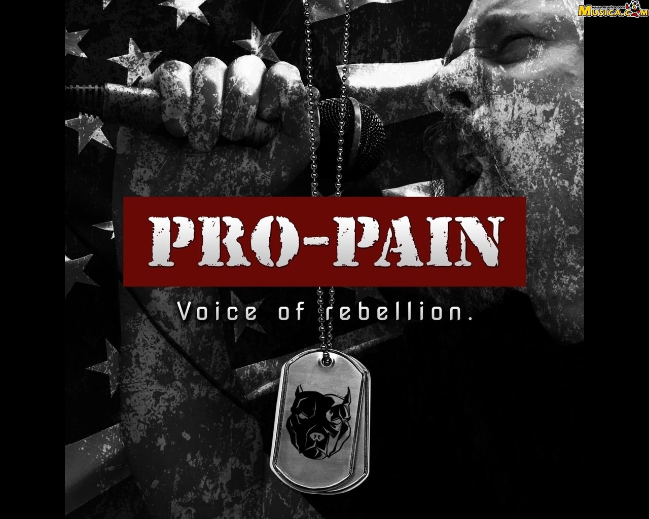 Fondo de pantalla de Pro-Pain