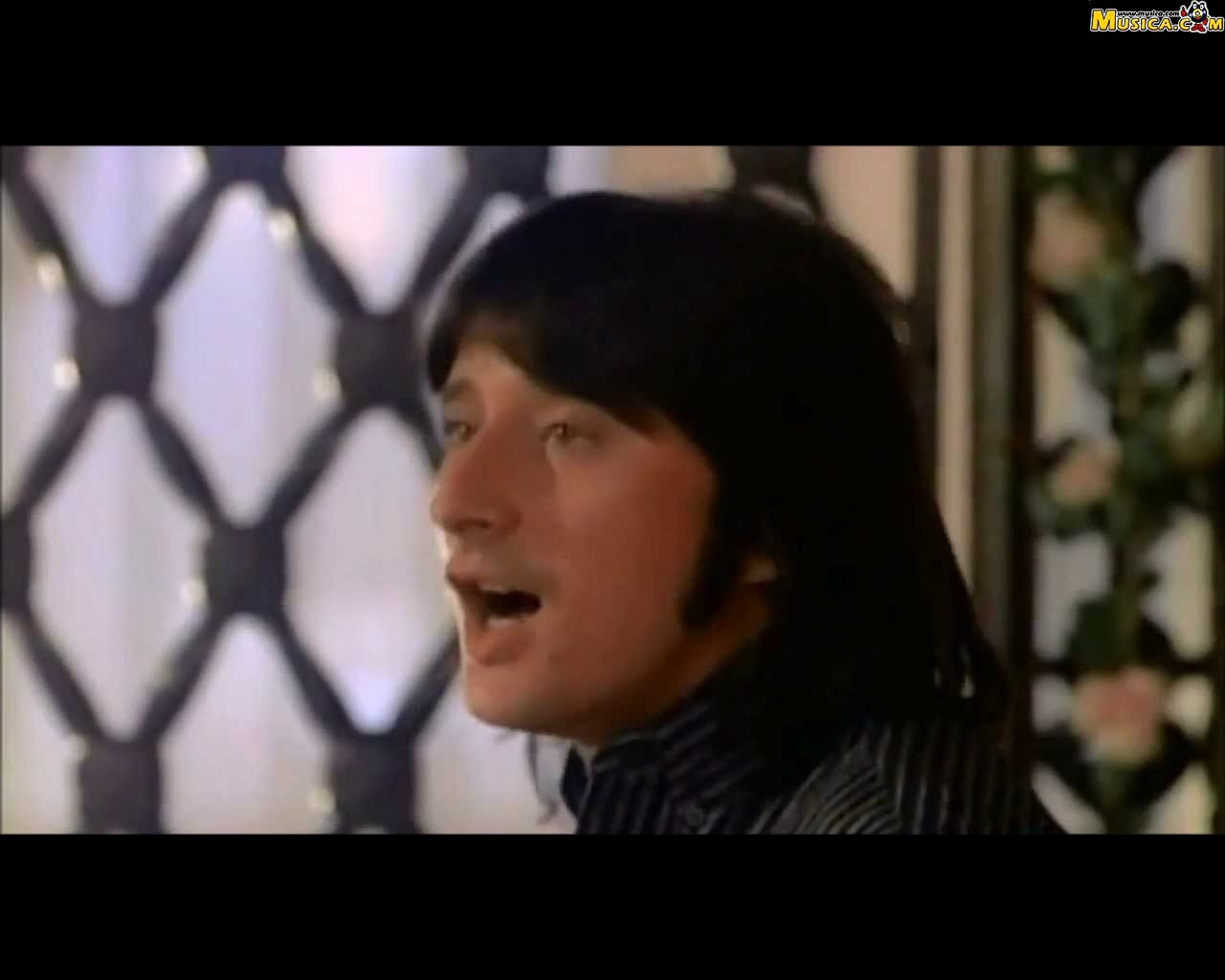 Fondo de pantalla de Steve Perry