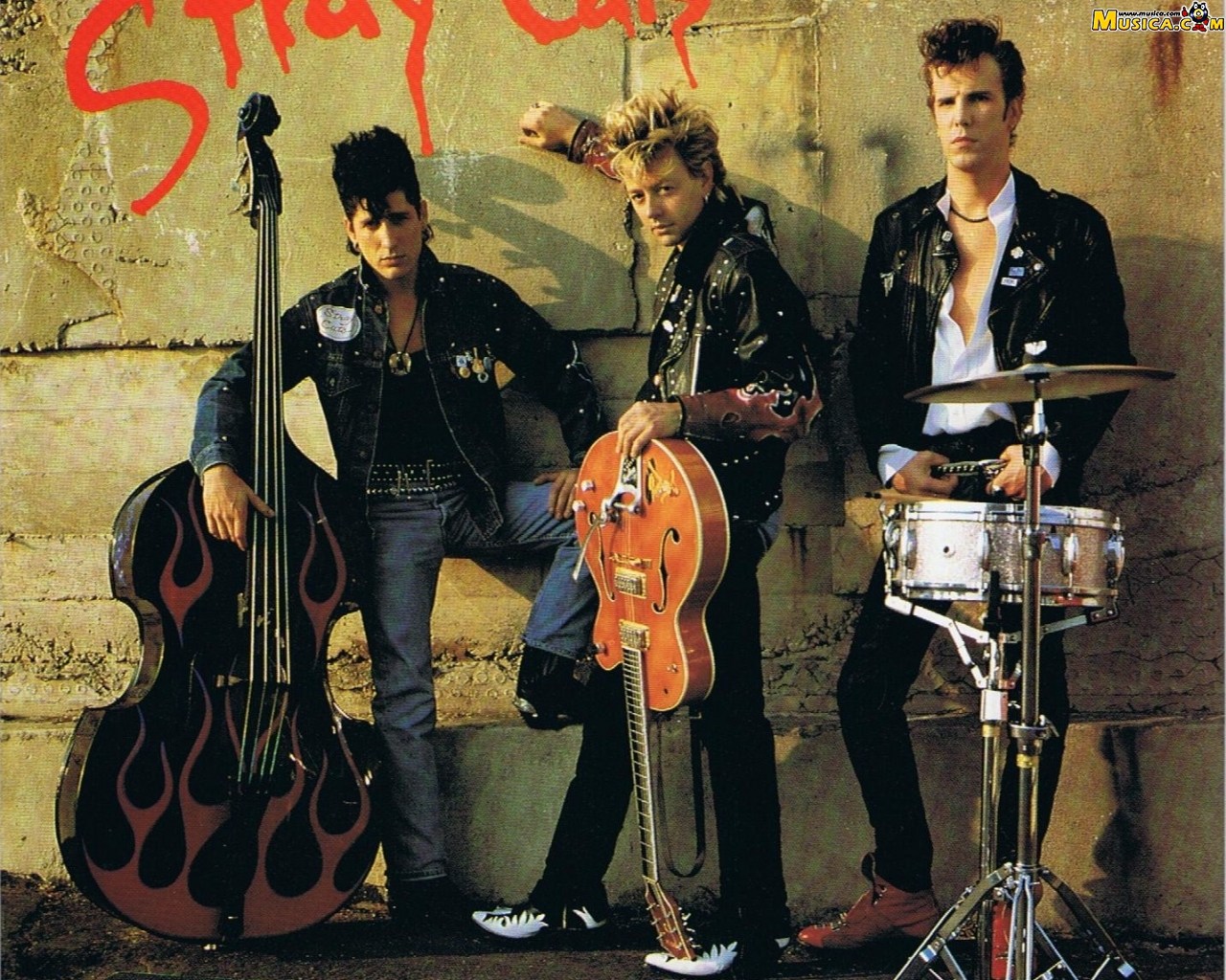 Fondo de pantalla de Stray Cats