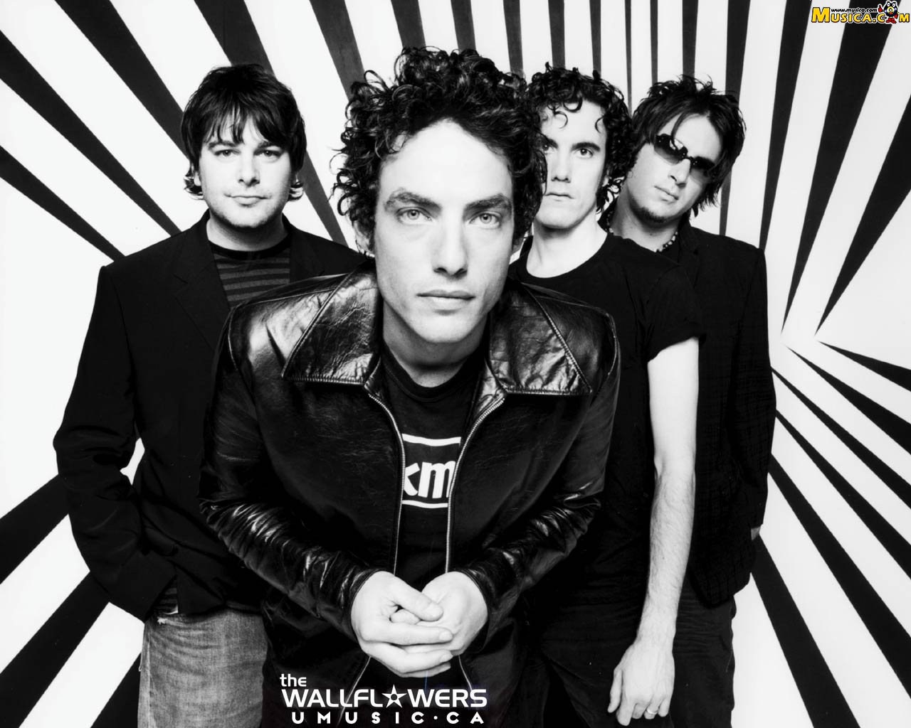 Fondo de pantalla de The Wallflowers