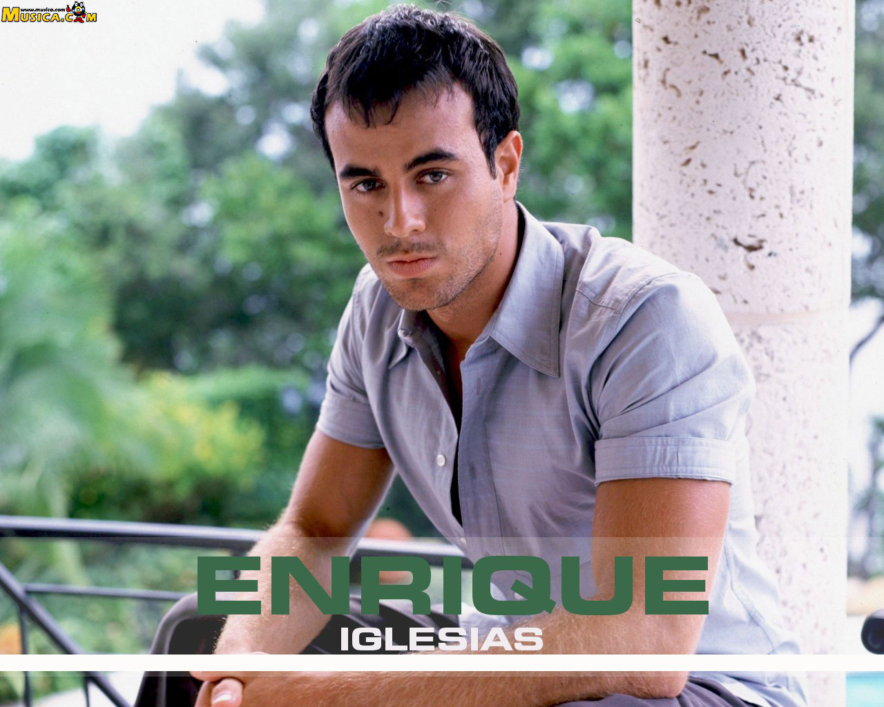 Fondo de pantalla de Enrique Iglesias