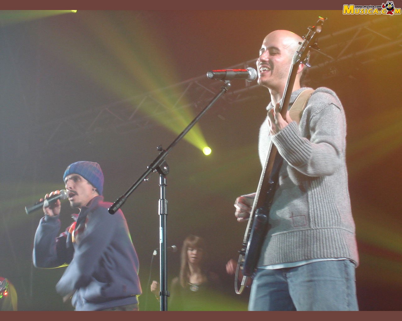 Fondo de pantalla de Gondwana