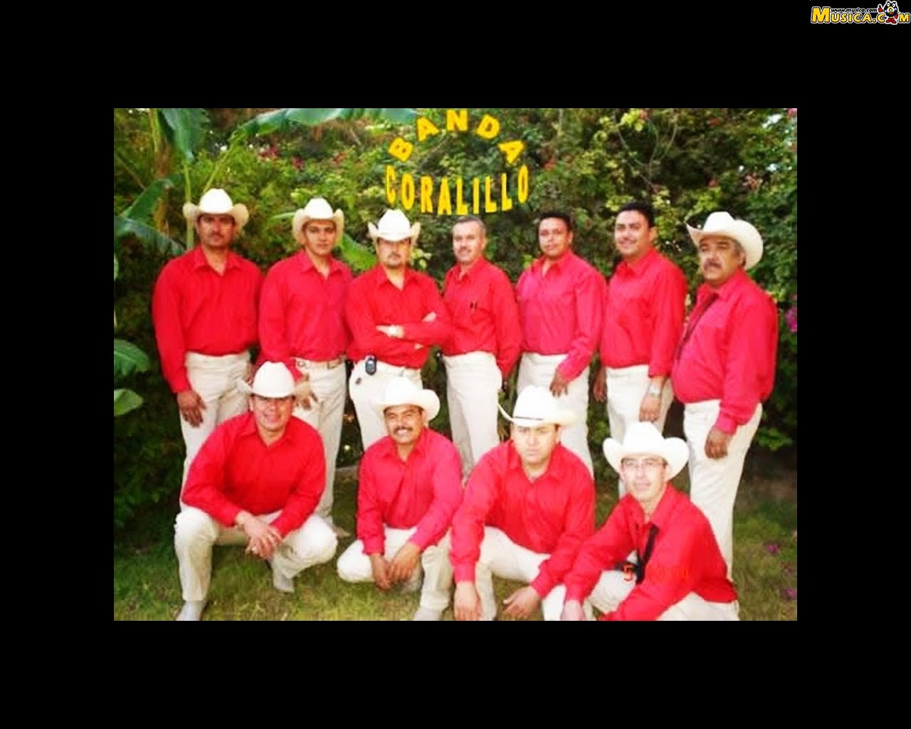 Fondo de pantalla de Banda Coralillo