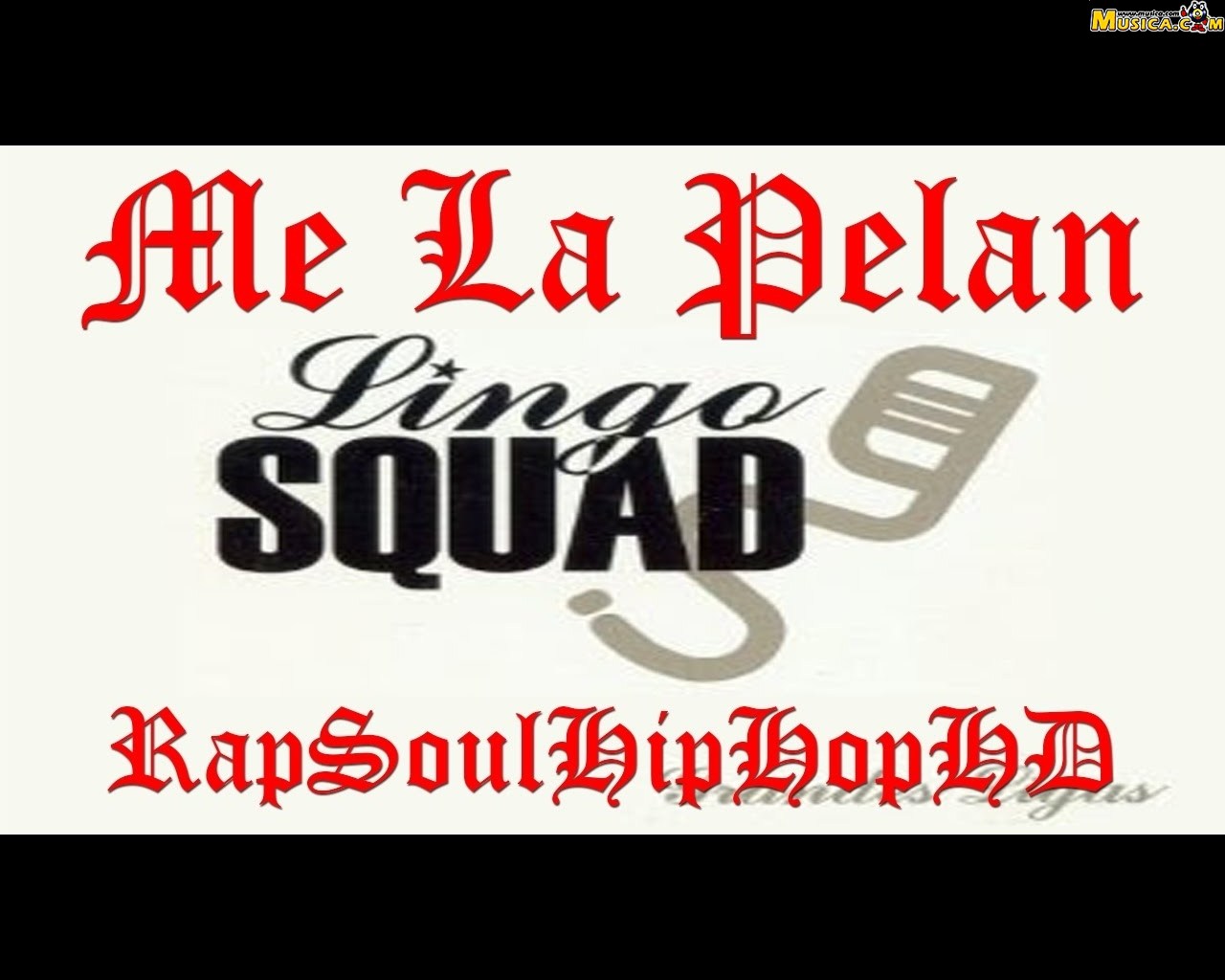 Fondo de pantalla de Lingo Squad