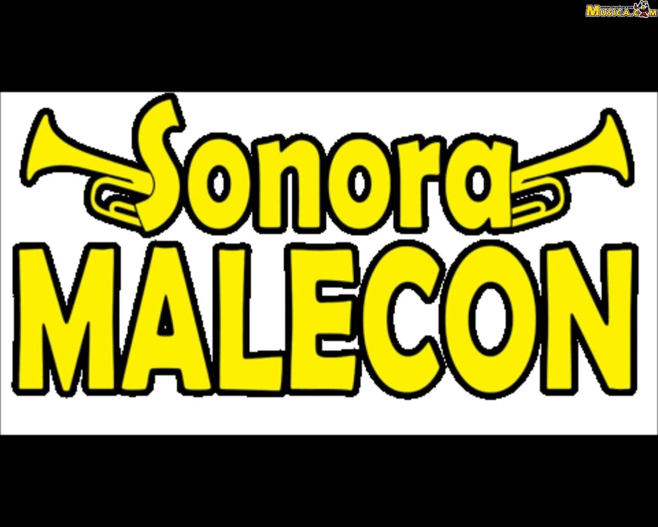 Fondo de pantalla de La Sonora Malecón