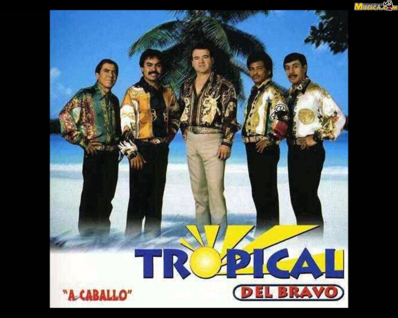 Fondo de pantalla de Tropical Del Bravo