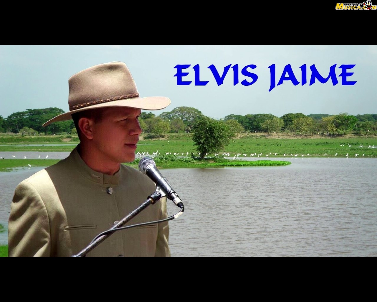 Fondo de pantalla de Elvis Jaime