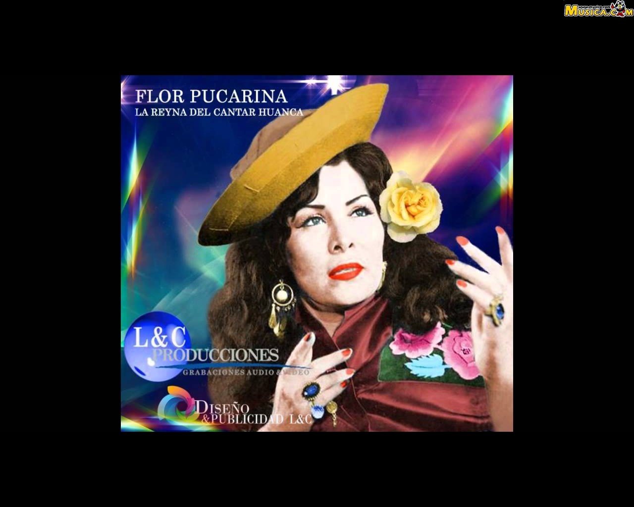 Fondo de pantalla de Flor Pucarina