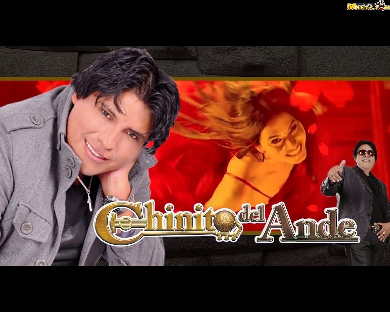 Fondo de pantalla de Chinito del Ande