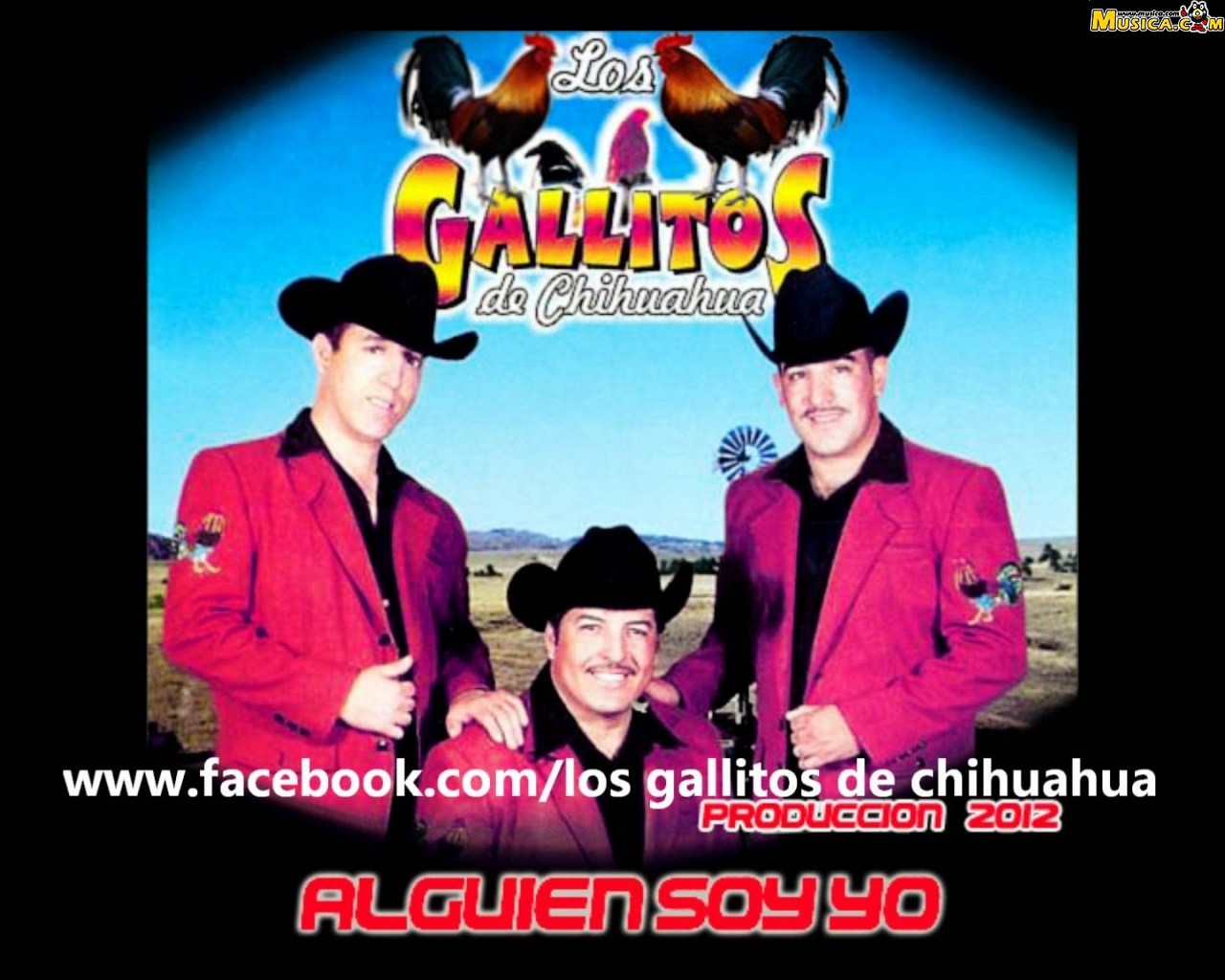 Fondo de pantalla de Los Gallitos De Chihuahua
