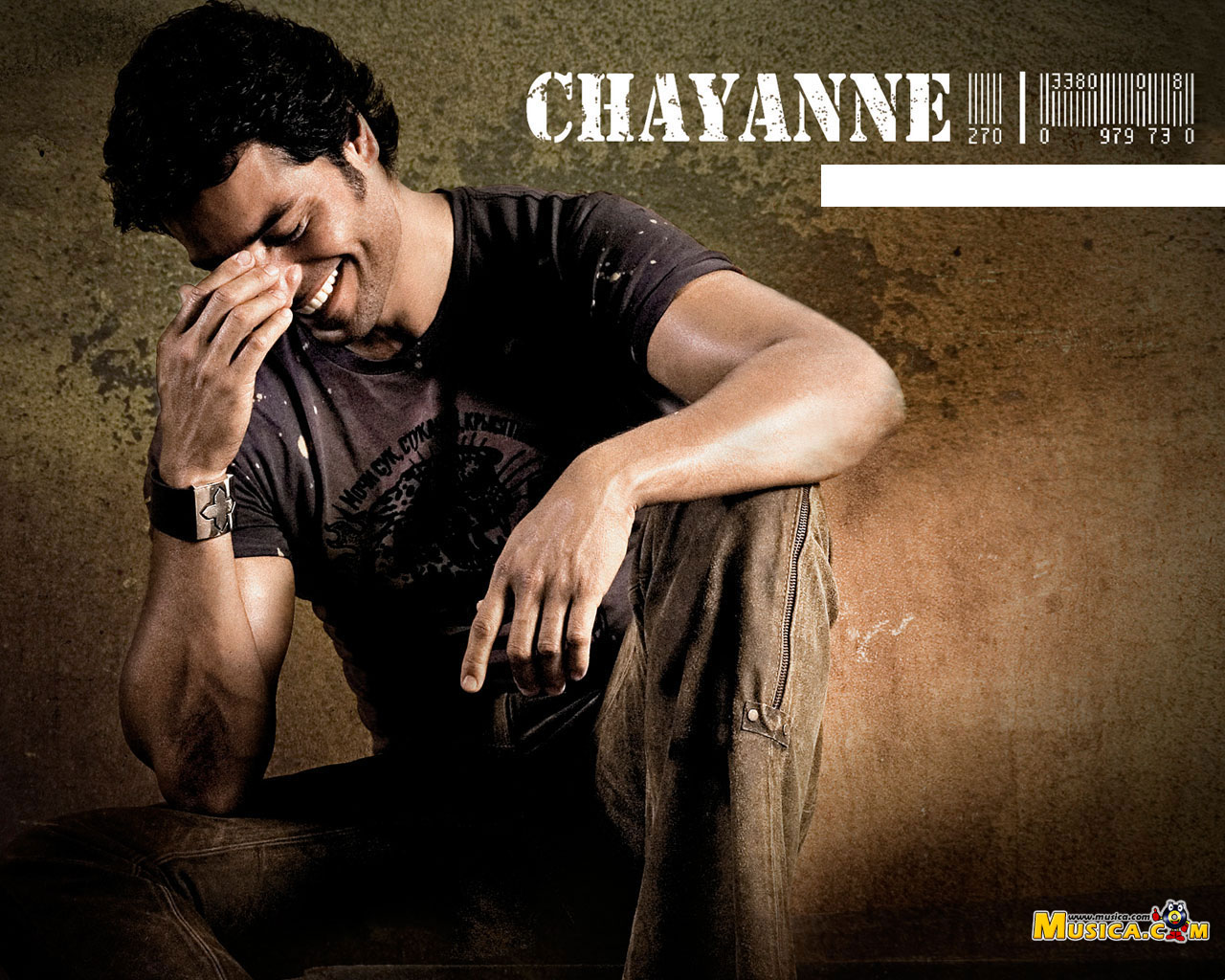 Fondo de pantalla de Chayanne