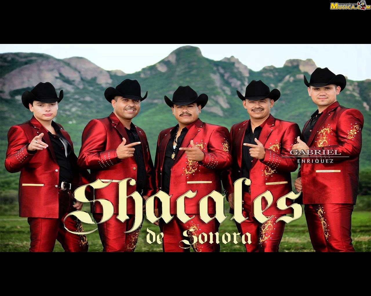 Fondo de pantalla de Shacales De Sonora