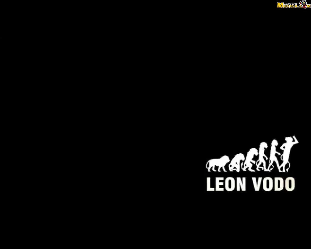 Fondo de pantalla de León Vodo