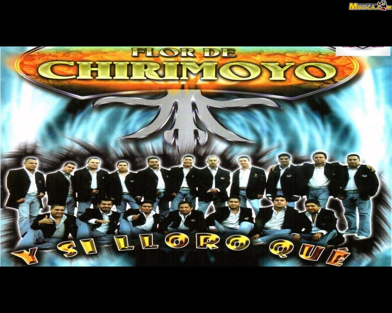 Fondo de pantalla de Banda Flor de Chirimoyo