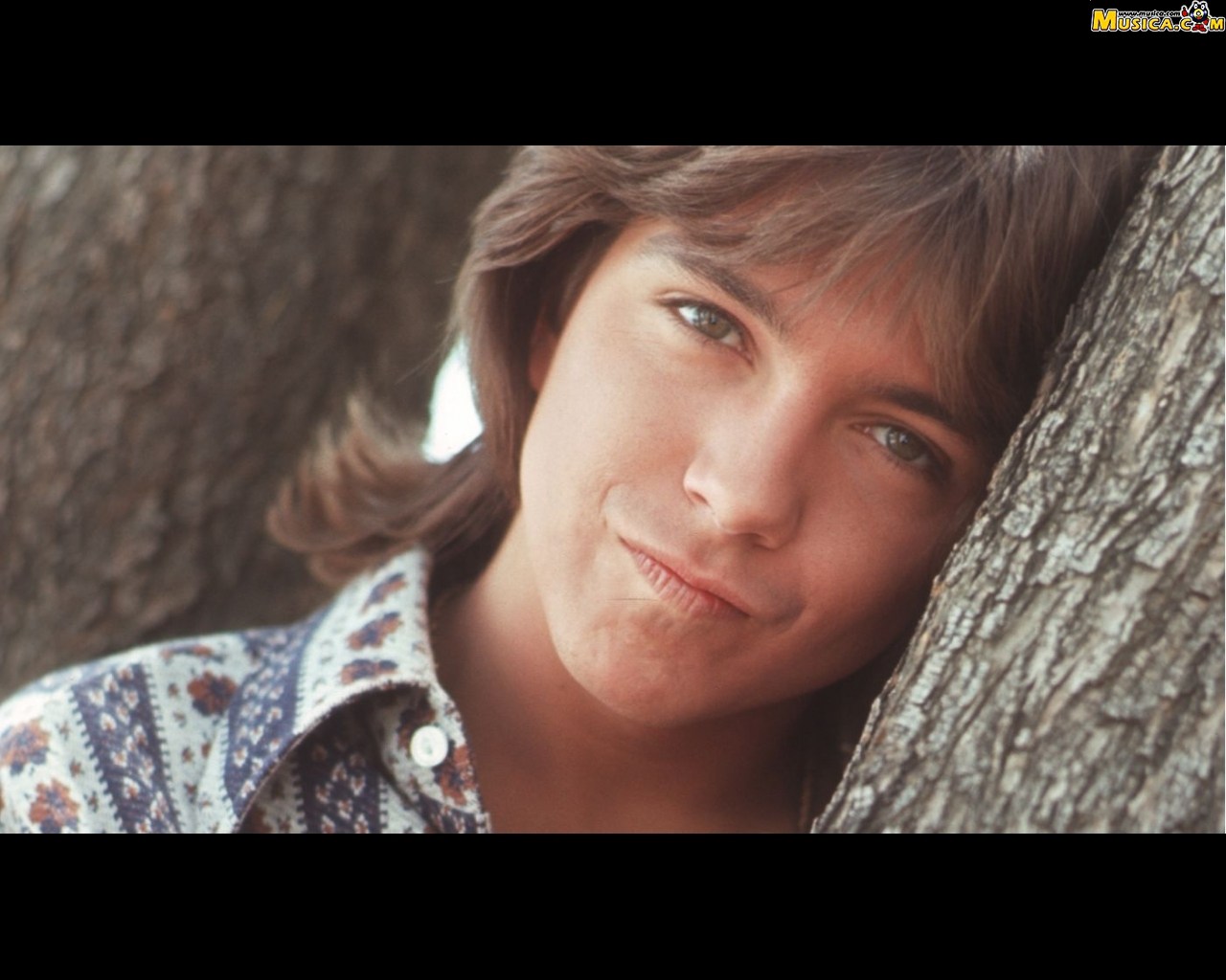 Fondo de pantalla de David Cassidy