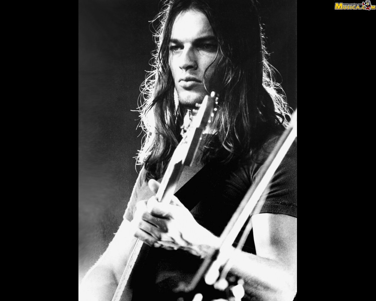 Fondo de pantalla de David Gilmour