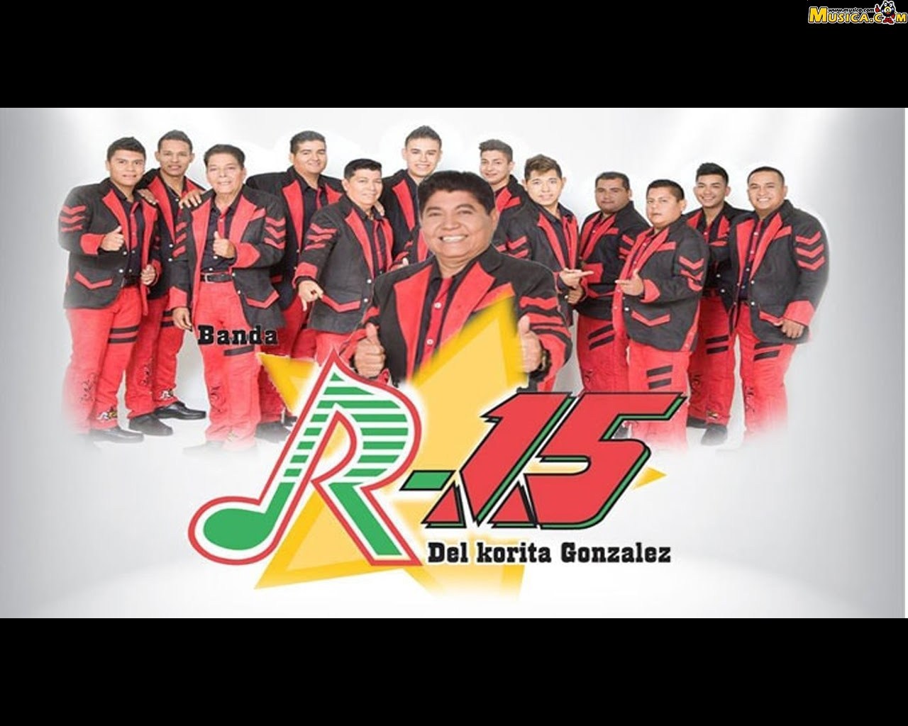 Fondo de pantalla de Banda R-15