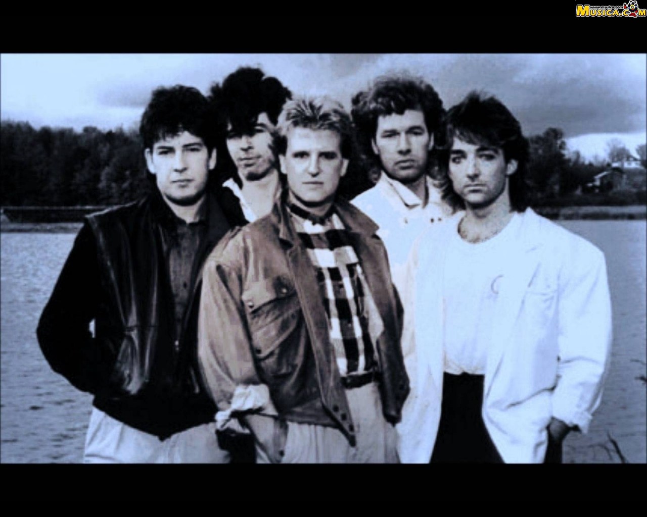 Fondo de pantalla de Glass Tiger