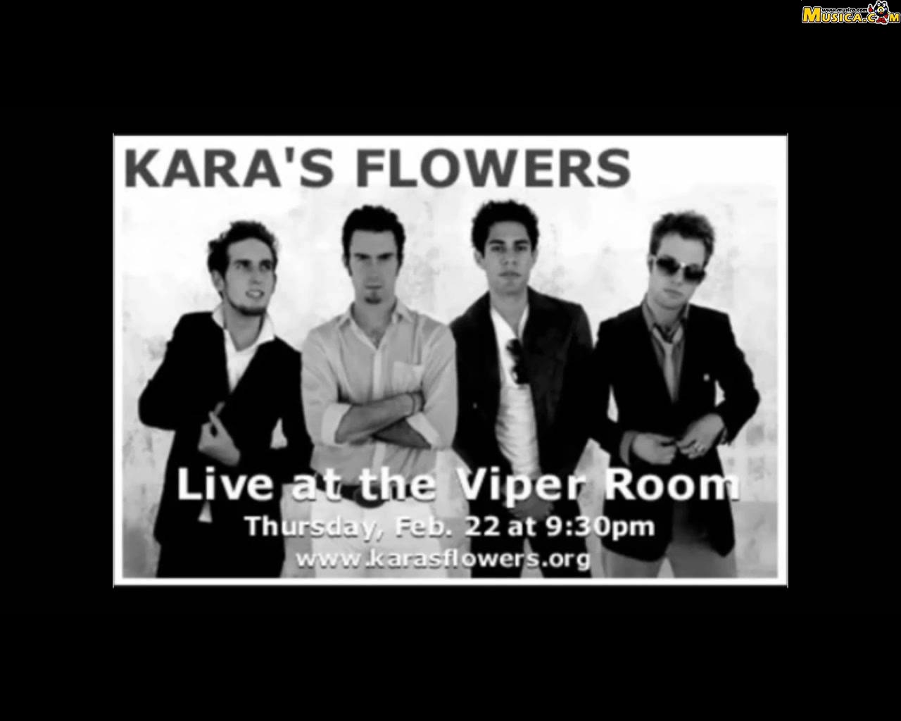 Fondo de pantalla de Kara's Flowers