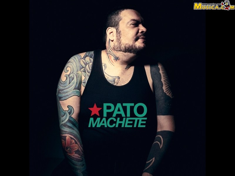 Fondo de pantalla de Pato Machete